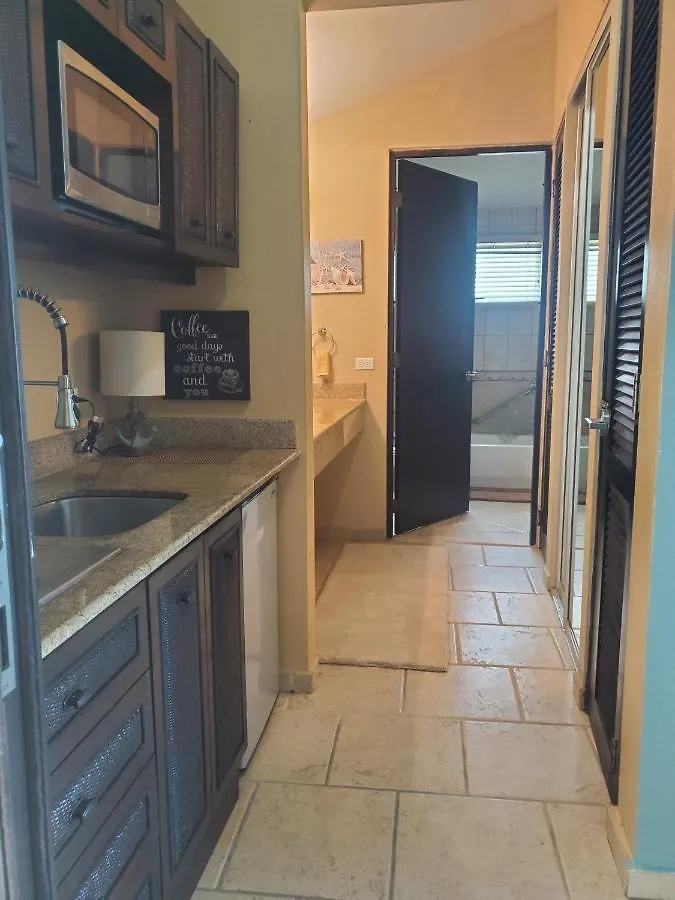 Elimar Bay View Apt With Infinity Pool Available Isla Culebra 0*,